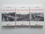 Liège Couleur Simenon : 3 Tomes, Livres, Comme neuf, Belgique, Enlèvement ou Envoi, Michel Lemoine