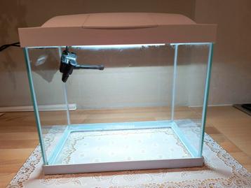 Aquarium met toebehoren. beschikbaar voor biedingen
