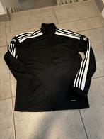 Adidas Trainingspak, Ophalen of Verzenden, Nieuw, Maat 52/54 (L)