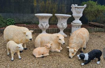 Polyester beelden, texel schapen en lammen, Enlèvement, Neuf, Synthétique, Animal