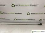 Antenne Dacia Sandero 2 Stepway ORIGINEEL 7700309806, Auto-onderdelen, Dacia, Gebruikt, Dacia, Ophalen of Verzenden