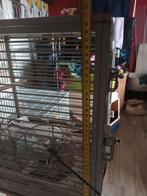 3 kleine kooien  en 1 grote, Enlèvement, Utilisé, Autres matériaux, Cage à oiseaux