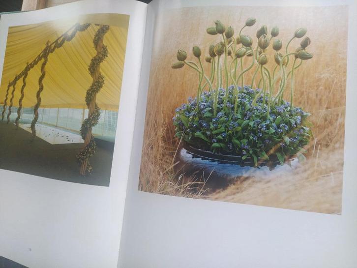 boek: bladeren in bloemen 1 + 2/Daniël Ost, Livres, Maison & Jardinage, Comme neuf, Arrangements floraux, Décoration florale, Enlèvement ou Envoi