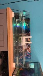 Visbak, Dieren en Toebehoren, Ophalen, Zo goed als nieuw