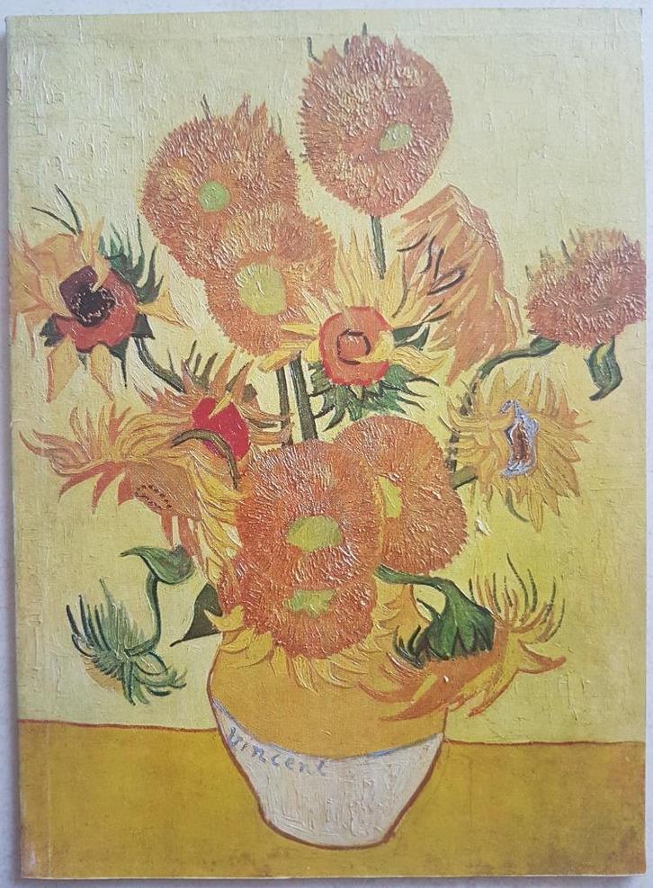 Vincent Van Gogh - Schilderijen - Aquarellen - Tekeningen, Boeken, Kunst en Cultuur | Beeldend, Zo goed als nieuw, Schilder- en Tekenkunst