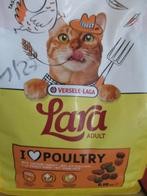 kattenbrokken, Ophalen of Verzenden, Kat