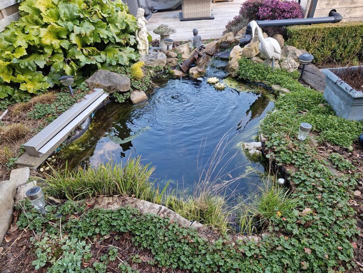 Mooie voorgevormde vijver, Tuin en Terras, Vijver-toebehoren, Ophalen