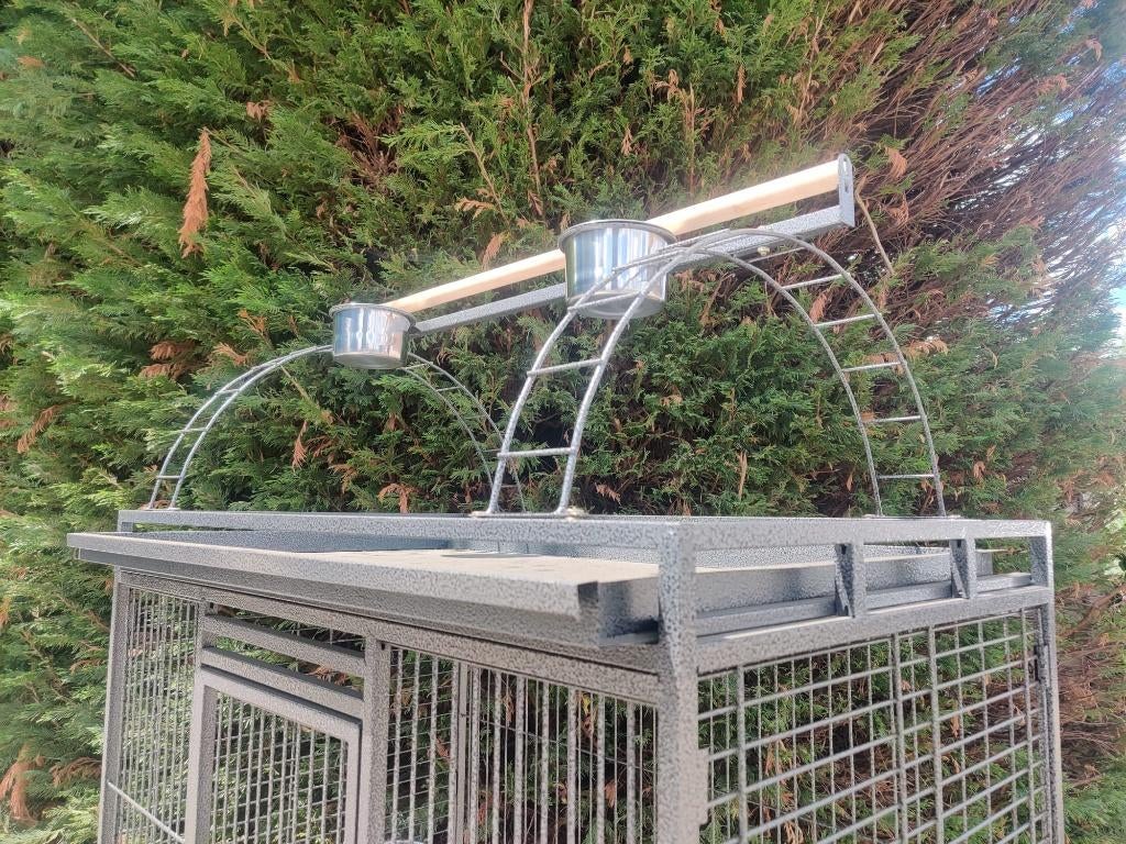 NOUVELLE CAGE À PERROQUETS, Enlèvement