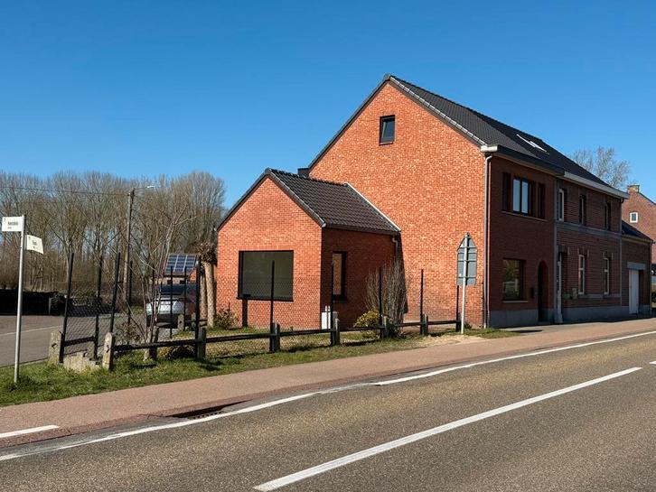 Huis te huur Schulen, Immo, Maisons à louer, Hasselt, Maison de coin, En direct du propriétaire, C