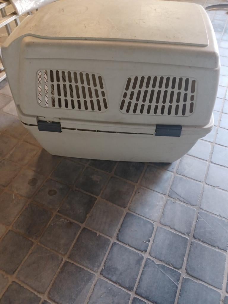 Gratis hondenbinche,groot, Ophalen