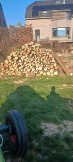 Brandhout wilg, Tuin en Terras, Brandhout, Ophalen