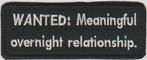 Wanted: Meaningful overnight.. stoffen opstrijk patch emblee, Verzenden, Nieuw