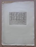 RIK WOUTERS / RAND VAN HET WOUD ONDER DE SNEEUW / ZW-W ETS, Ophalen of Verzenden