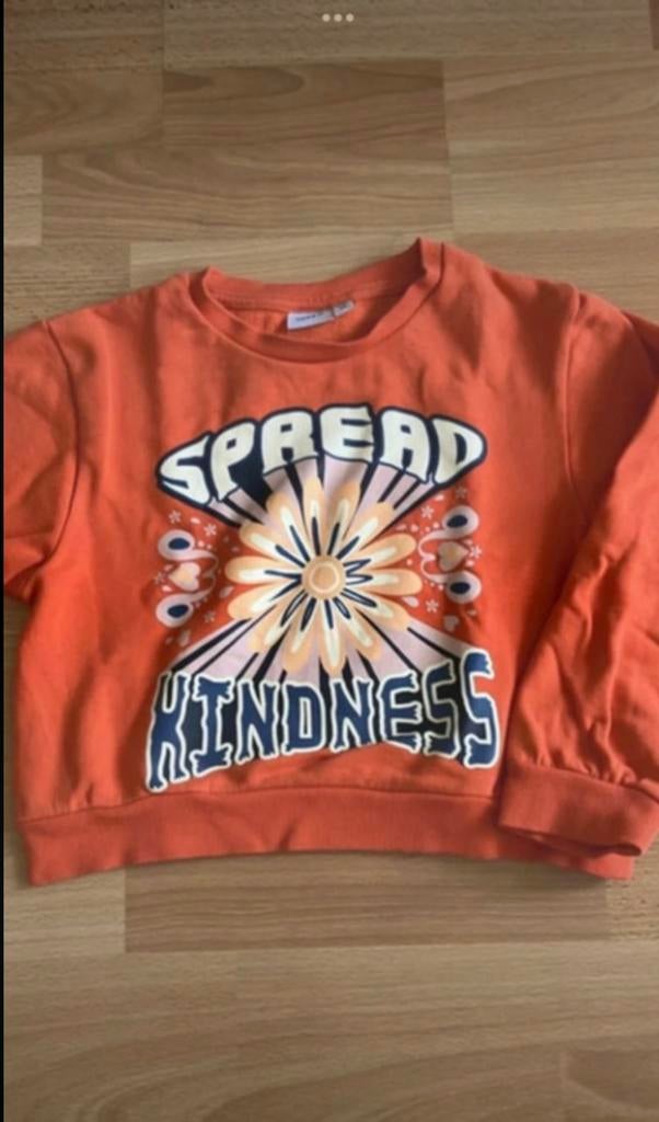 Trui name it maat122/128, Kinderen en Baby's, Kinderkleding | Maat 122, Ophalen of Verzenden, Zo goed als nieuw