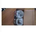 Thermoglass voor thee of koffie, Ophalen, Nieuw, Glas, Glas of Glazen