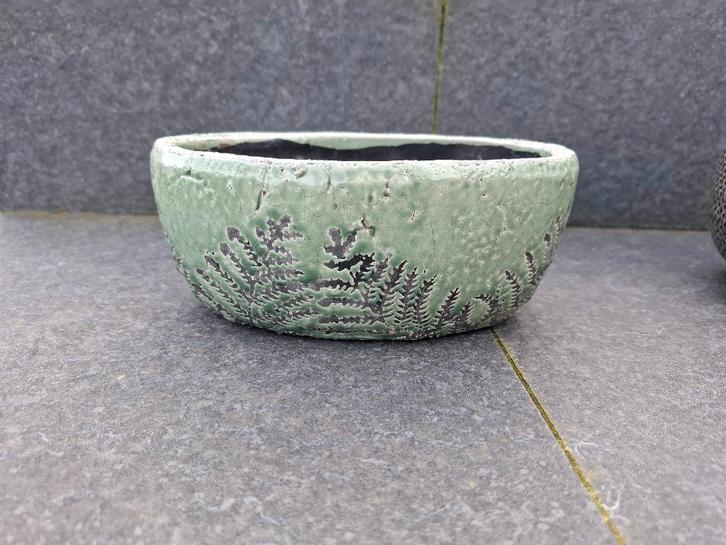 Divers petits pots pour plante, Huis en Inrichting, Kamerplanten, Cactus, Ophalen