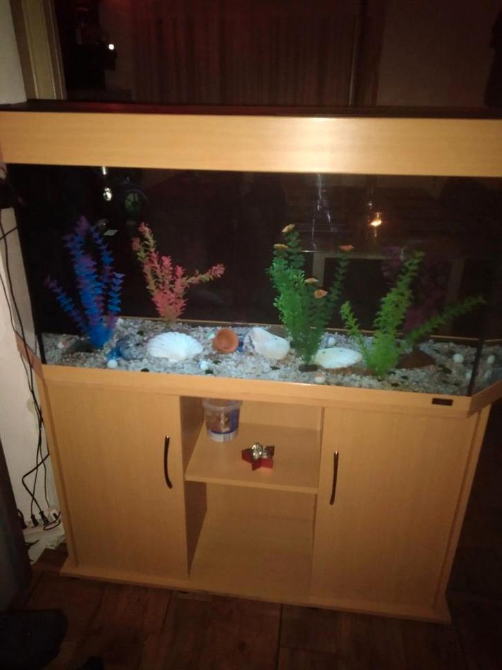 Te koop mooi aquarium Juwel  300 liter 1.50 op h 55 op b 40, Dieren en Toebehoren, Vissen | Aquaria en Toebehoren, Decoratie, Verwarming