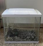 Superfish aquarium, Enlèvement, Utilisé, Aquarium vide