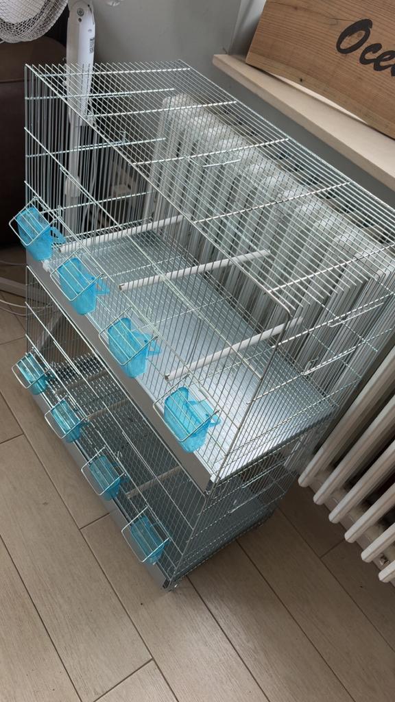 2 kweekkooien, Ophalen, Zo goed als nieuw