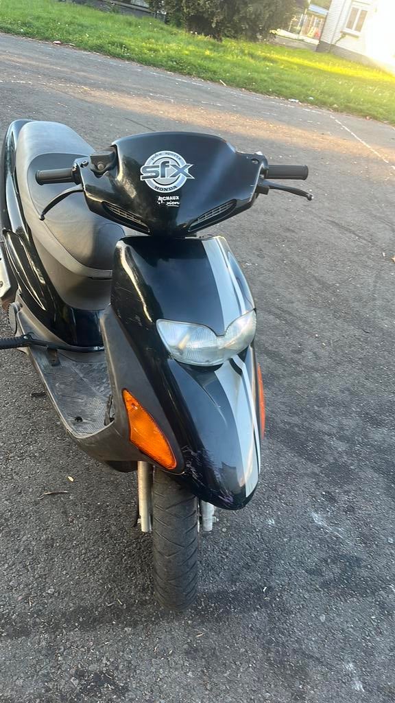 Scooter Honda SFX, Motos, Motos | Honda, Scooter