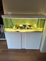 EHEIM 240 Liter aquarium, Dieren en Toebehoren, Vissen | Aquaria en Toebehoren, Ophalen, Zo goed als nieuw