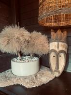 Pampasboom, Huis en Inrichting, Ophalen, Nieuw