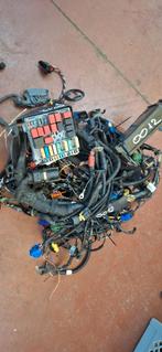 Câblage habitacle, compartiment, moteur et boîtier fusible, Ophalen, Gebruikt