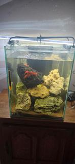 Homards et aquarium, Enlèvement, Comme neuf