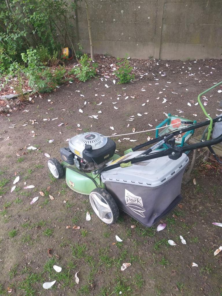 Tondeuse central parks, Jardin & Terrasse, Enlèvement