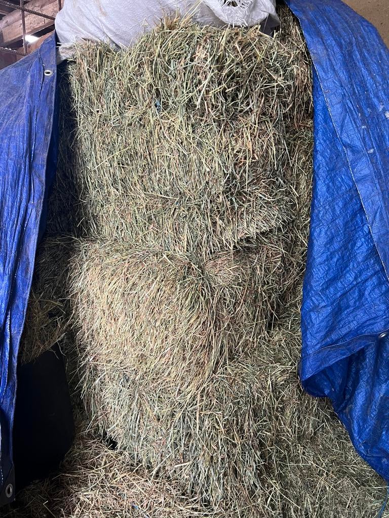 9 kleine pakjes hooi, Animaux & Accessoires, Nourriture pour Animaux, Enlèvement, Bétail