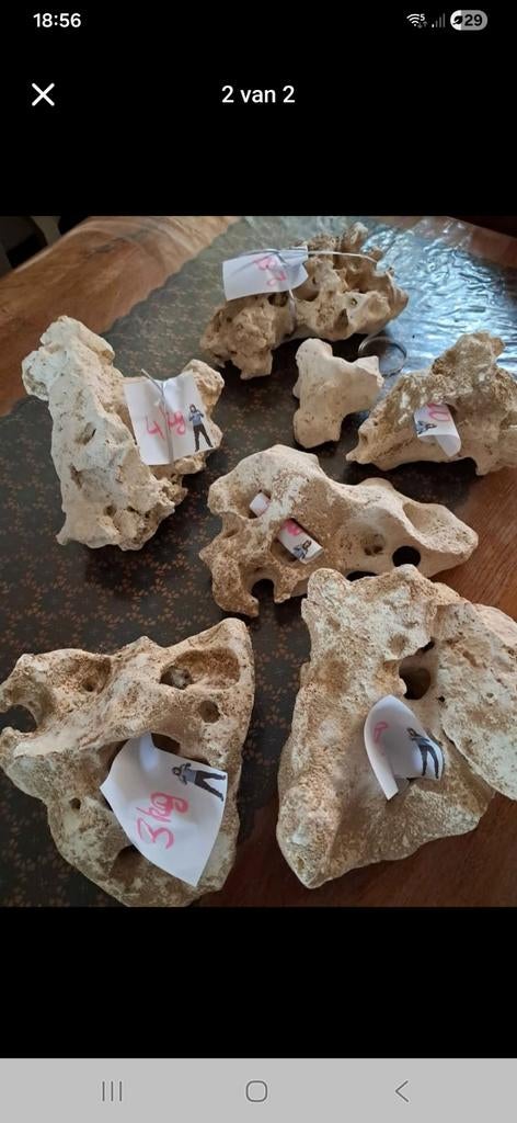 Maanstenen, Animaux & Accessoires, Enlèvement