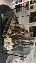 Aquarium en decoratie te koop, Ophalen of Verzenden, Nieuw, Leeg aquarium