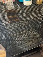 Rattenkooi, Enlèvement, Utilisé, Cage, Rat