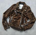 Jas Ralph Lauren, Kleding | Dames, Ophalen of Verzenden, Zo goed als nieuw, Maat 34 (XS) of kleiner