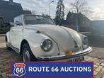 Volkswagen Beetle Cabriolet | 1970 | Route 66 Auctions, Autos, Achat, Entreprise, Autre carrosserie, Essence