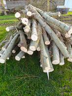 Vers brandhout 2 meter 0498656614, Enlèvement