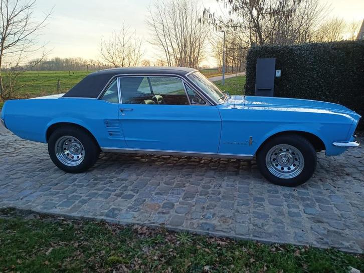 Ford Mustang 1967 V8, Autos, Ford, Entreprise, Essence, Coupé, 3 portes, Automatique, Bleu, Noir, Cuir, Propulsion arrière