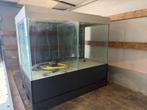 Groot gescheiden aquarium, Ophalen, Zo goed als nieuw