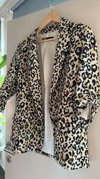 Zara blazer maat L, Vêtements | Femmes, Vestes | Été, Enlèvement, Comme neuf, Taille 42/44 (L)