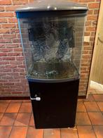 Aquarium met kast en filter, Dieren en Toebehoren, Vissen | Aquaria en Toebehoren, Ophalen, Gebruikt