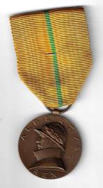 Herinneringsmedaille ALBERTUS REX 1909 - 1934, Ophalen of Verzenden, Zo goed als nieuw, Overige typen