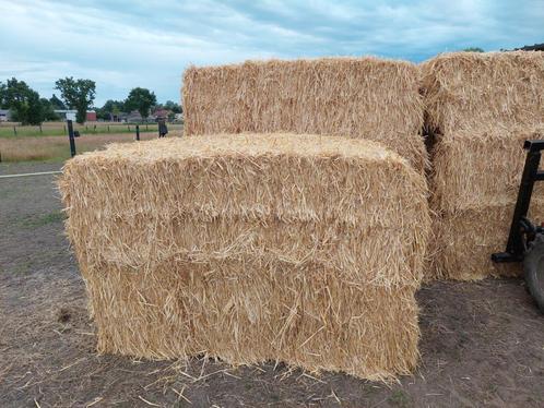 hooi en stro geleverd, Zakelijke goederen, Landbouw | Tractoren, tot 2500, Overige merken, tot 80 Pk, Nieuw, Ophalen of Verzenden