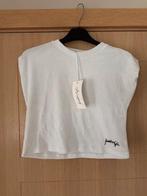 Cropped truitje Kendall&Kylie maat XS (nr6205), Kleding | Dames, Truien en Vesten, Wit, Nieuw, Ophalen of Verzenden, Maat 34 (XS) of kleiner