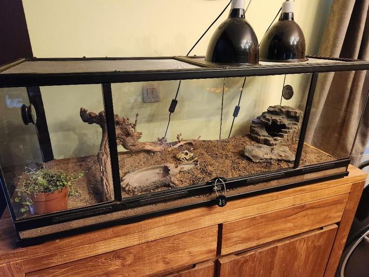 Terrarium, Animaux & Accessoires, Autres accessoires pour animaux, Comme neuf, Enlèvement