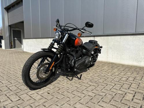 Harley-Davidson Street Bob 114, Motos, Motos | Harley-Davidson, Entreprise, Chopper, plus de 35 kW, 2 cylindres, Enlèvement