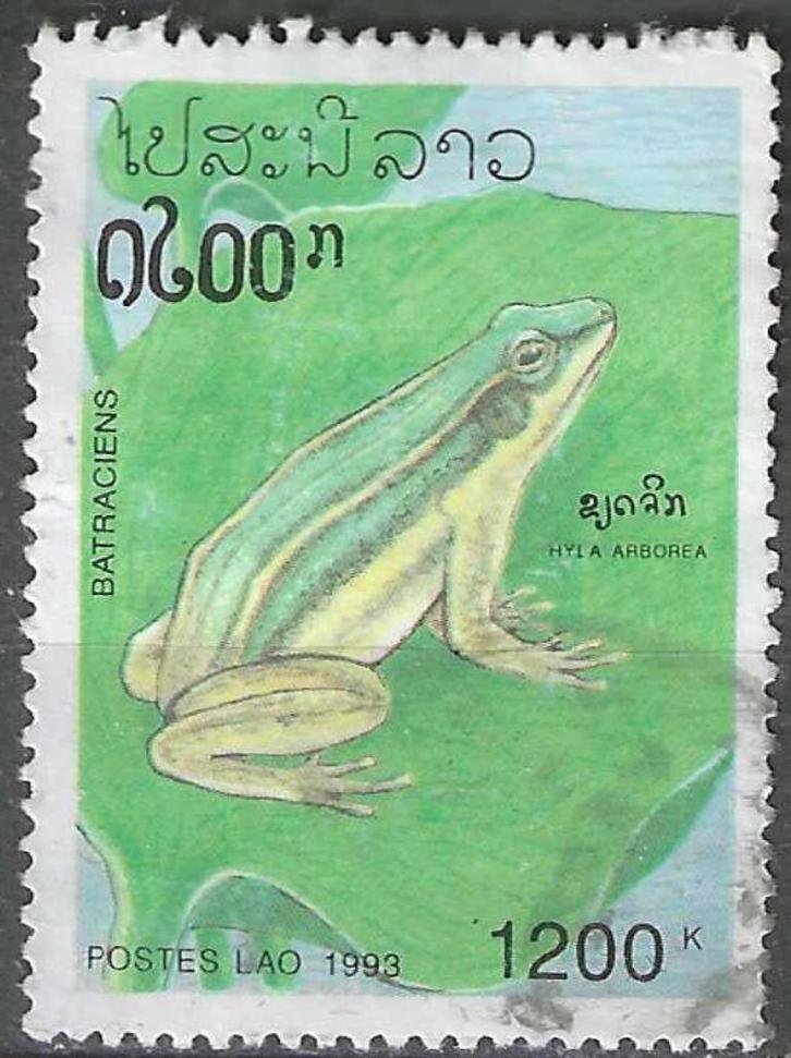 Laos 1993 - Yvert 1080 - Kikkers - Hyla arborea (ST), Postzegels en Munten, Postzegels | Azië, Gestempeld, Verzenden