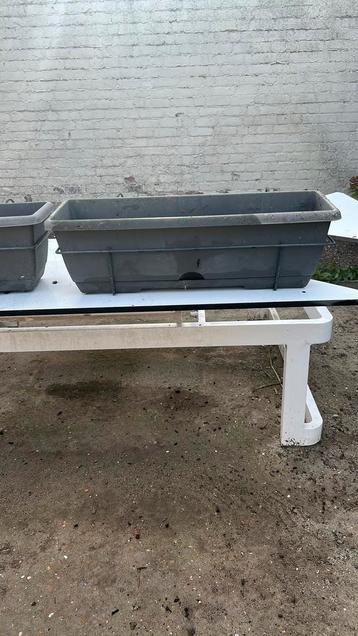 Terras planten hanger beschikbaar voor biedingen