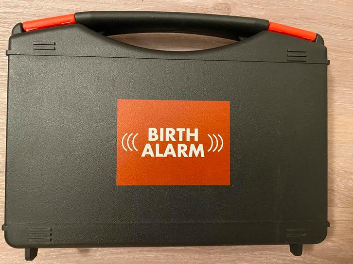 Birth alarm te huur, Dieren en Toebehoren, Paarden en Pony's | Dekhengsten en Fokmerries, Merrie