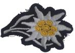 insigne pour animal de compagnie allemand Gebirgs Hunter de, Collections, Enlèvement ou Envoi