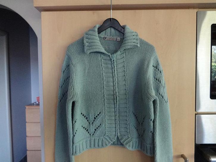 Gilet CF Compagnie.  2x.  maat 152 en maat 128. Meisje., Kinderen en Baby's, Kinderkleding | Maat 152, Zo goed als nieuw, Meisje